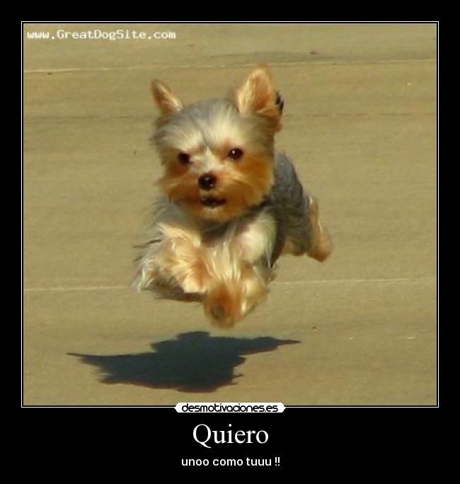 Quiero - 