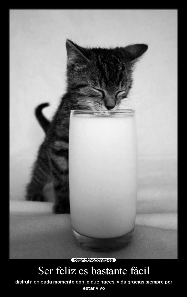 Ser feliz es bastante fácil -