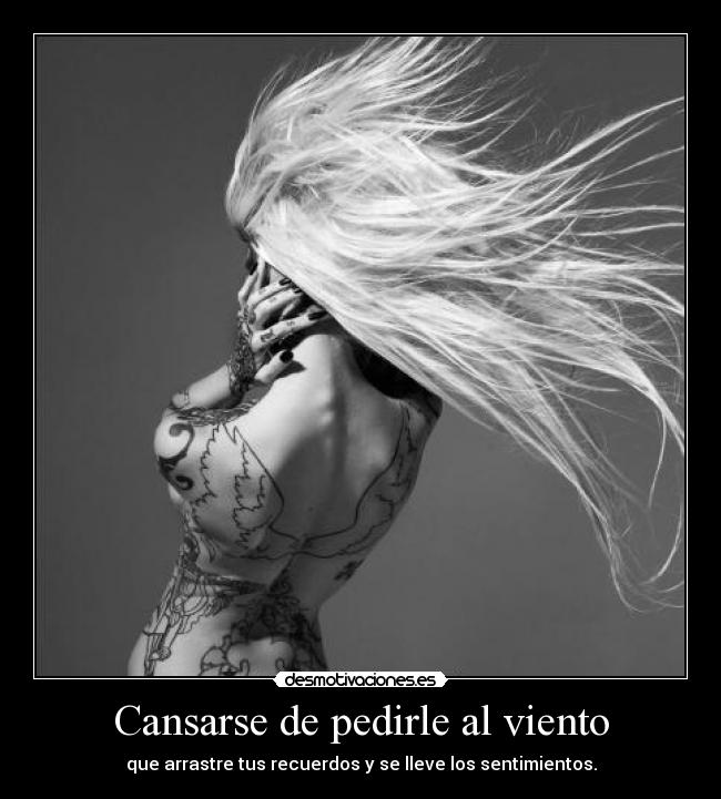 Cansarse de pedirle al viento -