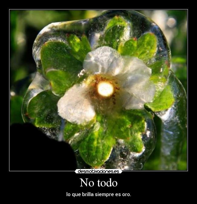 No todo - lo que brilla siempre es oro.