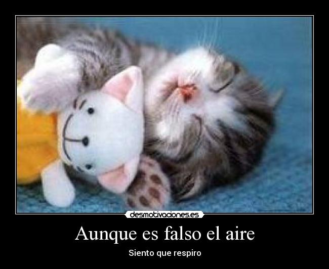 Aunque es falso el aire - Siento que respiro