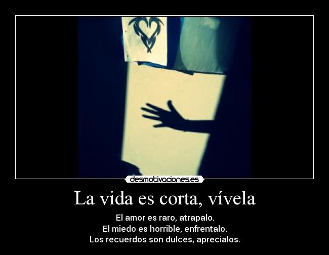 La vida es corta, vívela - El amor es raro, atrapalo.
El miedo es horrible, enfrentalo.
Los recuerdos son dulces, aprecialos.