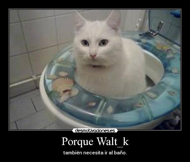 Porque Walt_k - también necesita ir al baño.