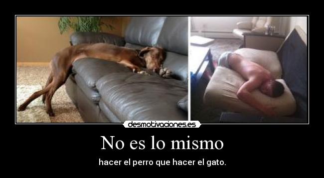 No es lo mismo - hacer el perro que hacer el gato.