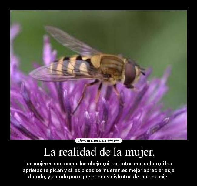 La realidad de la mujer. -