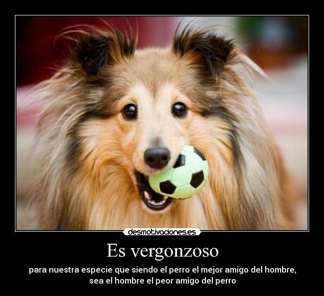 Es vergonzoso - 
