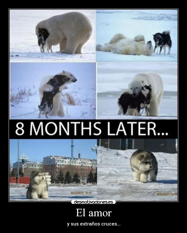 El amor - y sus extraños cruces...