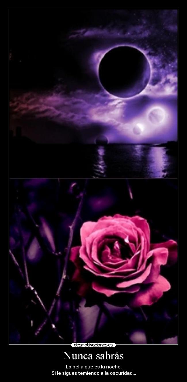 Nunca sabrás - Lo bella que es la noche,
Si le sigues temiendo a la oscuridad...
