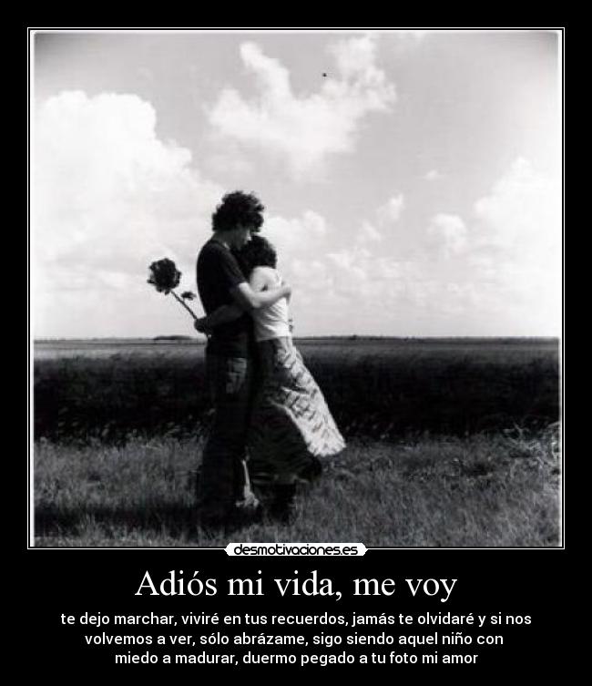 Adiós mi vida, me voy - te dejo marchar, viviré en tus recuerdos, jamás te olvidaré y si nos
volvemos a ver, sólo abrázame, sigo siendo aquel niño con 
miedo a madurar, duermo pegado a tu foto mi amor