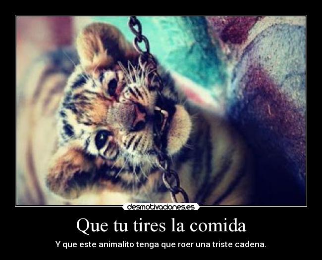 Que tu tires la comida - Y que este animalito tenga que roer una triste cadena.