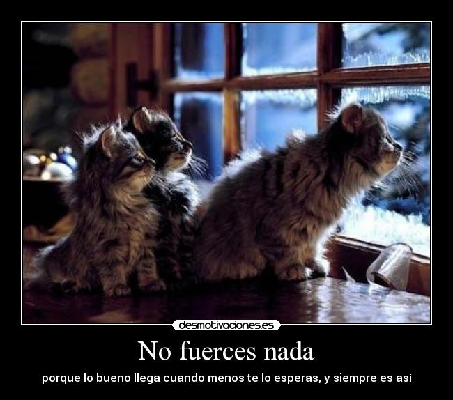 No fuerces nada -