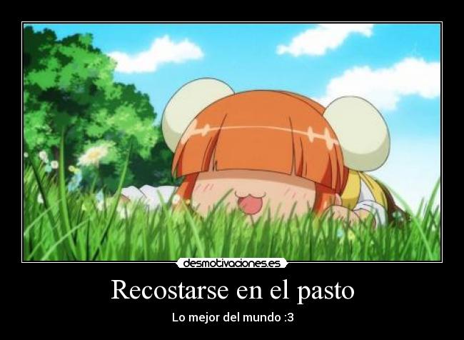 Recostarse en el pasto - Lo mejor del mundo :3