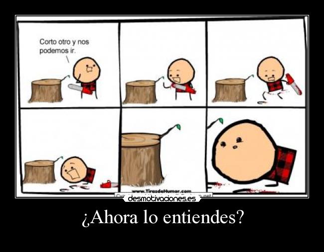 ¿Ahora lo entiendes? -