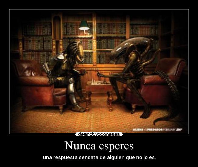 Nunca esperes -