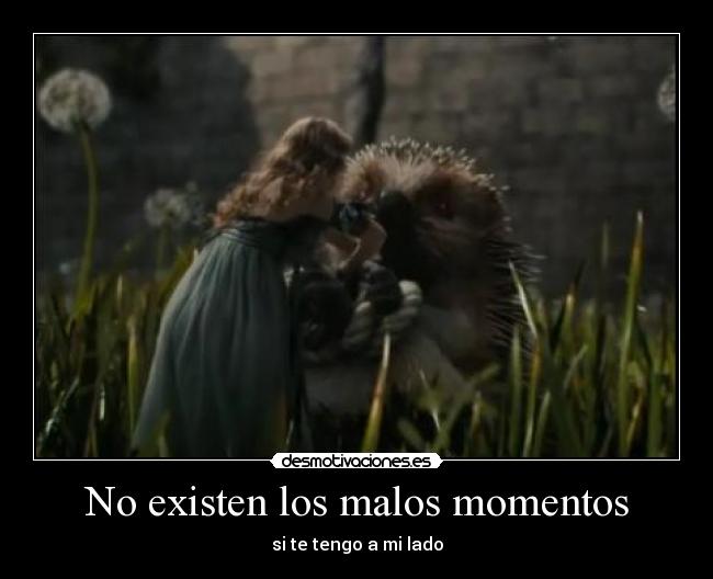 No existen los malos momentos -