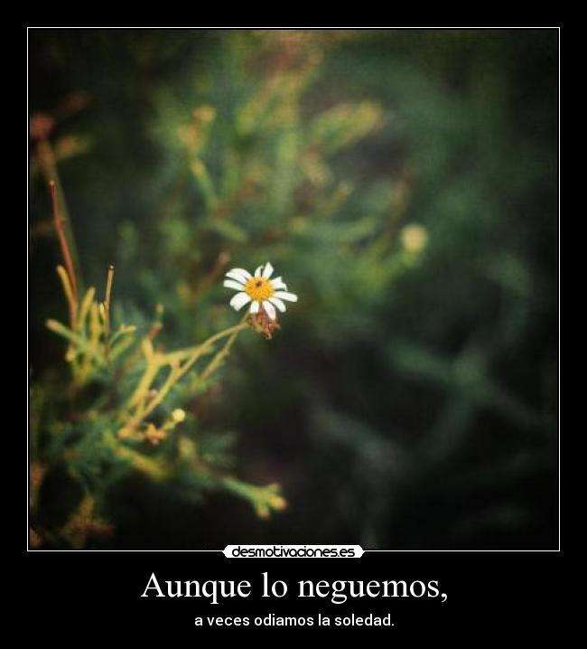 Aunque lo neguemos, - 