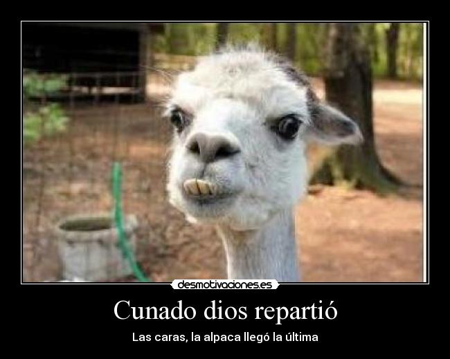 carteles dios cunado dios repartio desmotivaciones
