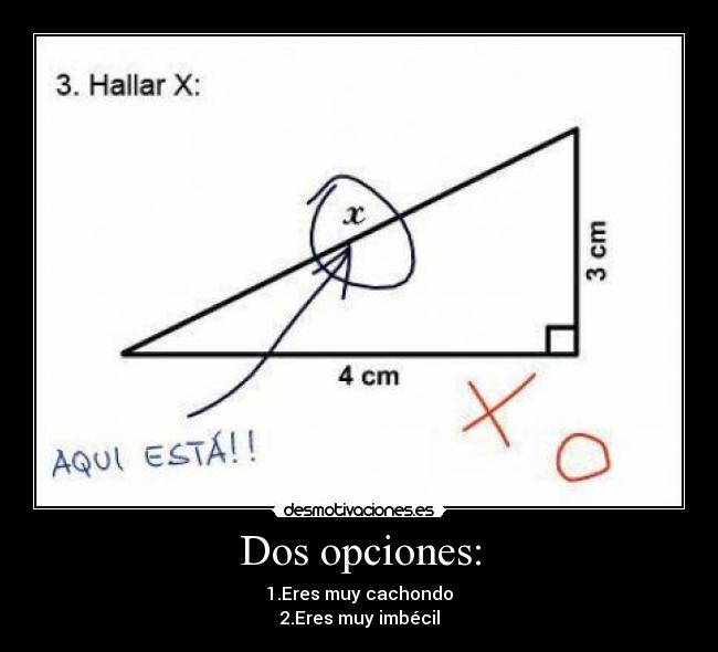 carteles idioteces desmotivaciones