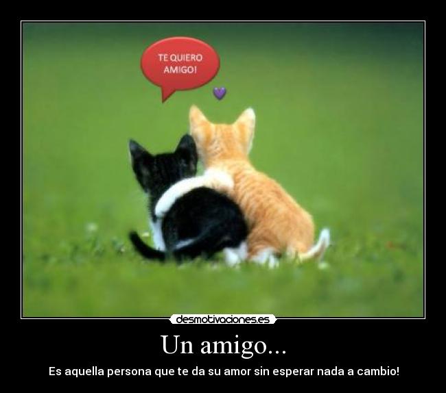 carteles amista desmotivaciones