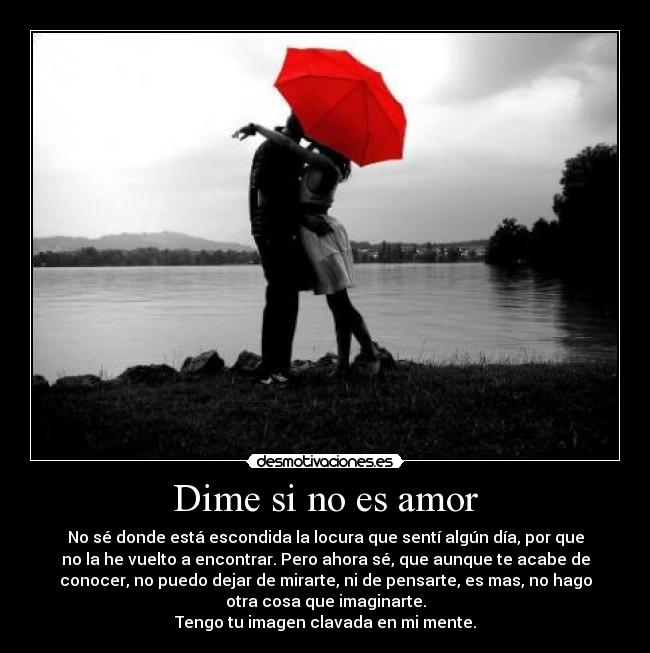 Dime si no es amor - No sé donde está escondida la locura que sentí algún día, por que
no la he vuelto a encontrar. Pero ahora sé, que aunque te acabe de
conocer, no puedo dejar de mirarte, ni de pensarte, es mas, no hago
otra cosa que imaginarte.
Tengo tu imagen clavada en mi mente.