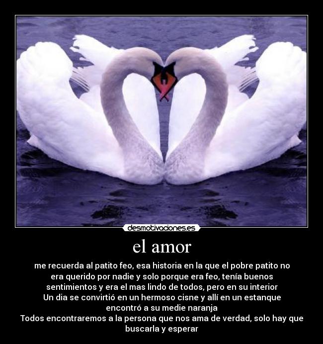 el amor -