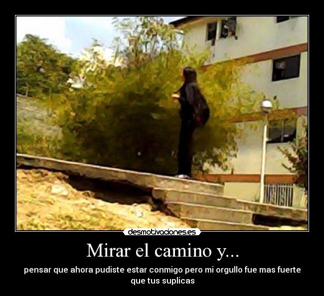 Mirar el camino y... - 