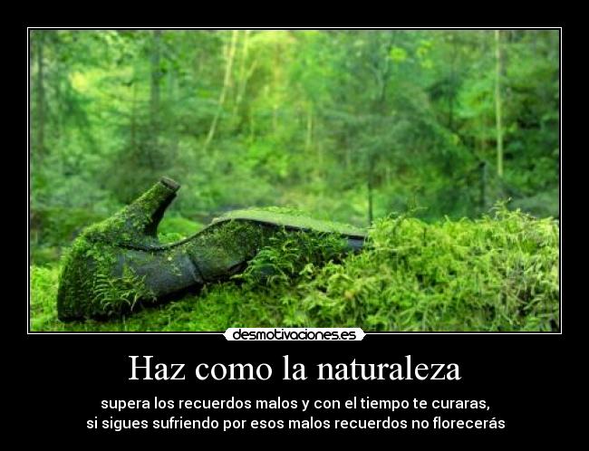 Haz como la naturaleza - supera los recuerdos malos y con el tiempo te curaras,
si sigues sufriendo por esos malos recuerdos no florecerás