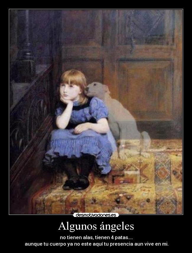 Algunos ángeles - no tienen alas, tienen 4 patas....
aunque tu cuerpo ya no este aquí tu presencia aun vive en mi.