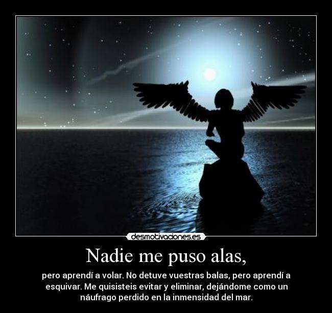 Nadie me puso alas, - pero aprendí a volar. No detuve vuestras balas, pero aprendí a
esquivar. Me quisisteis evitar y eliminar, dejándome como un
náufrago perdido en la inmensidad del mar.