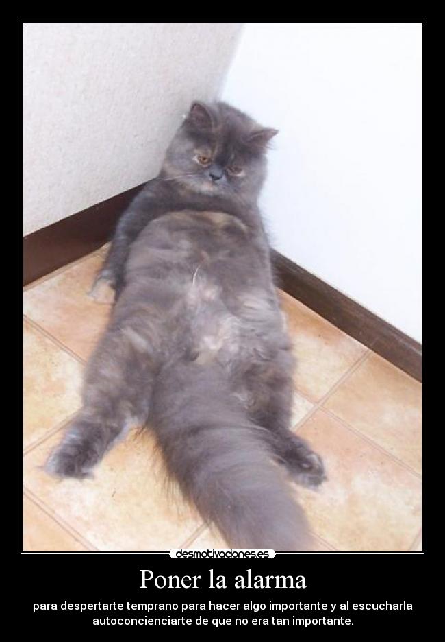 Poner la alarma - para despertarte temprano para hacer algo importante y al escucharla
autoconcienciarte de que no era tan importante.