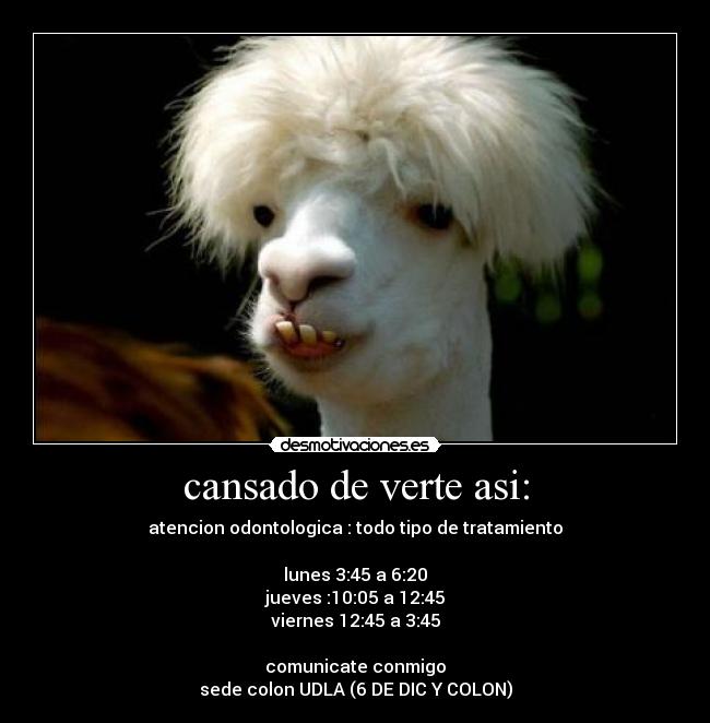 cansado de verte asi: - atencion odontologica : todo tipo de tratamiento

lunes 3:45 a 6:20
jueves :10:05 a 12:45
viernes 12:45 a 3:45

comunicate conmigo
sede colon UDLA (6 DE DIC Y COLON)