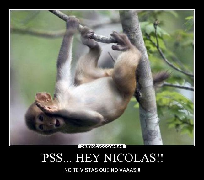 PSS... HEY NICOLAS!! - NO TE VISTAS QUE NO VAAAS!!!