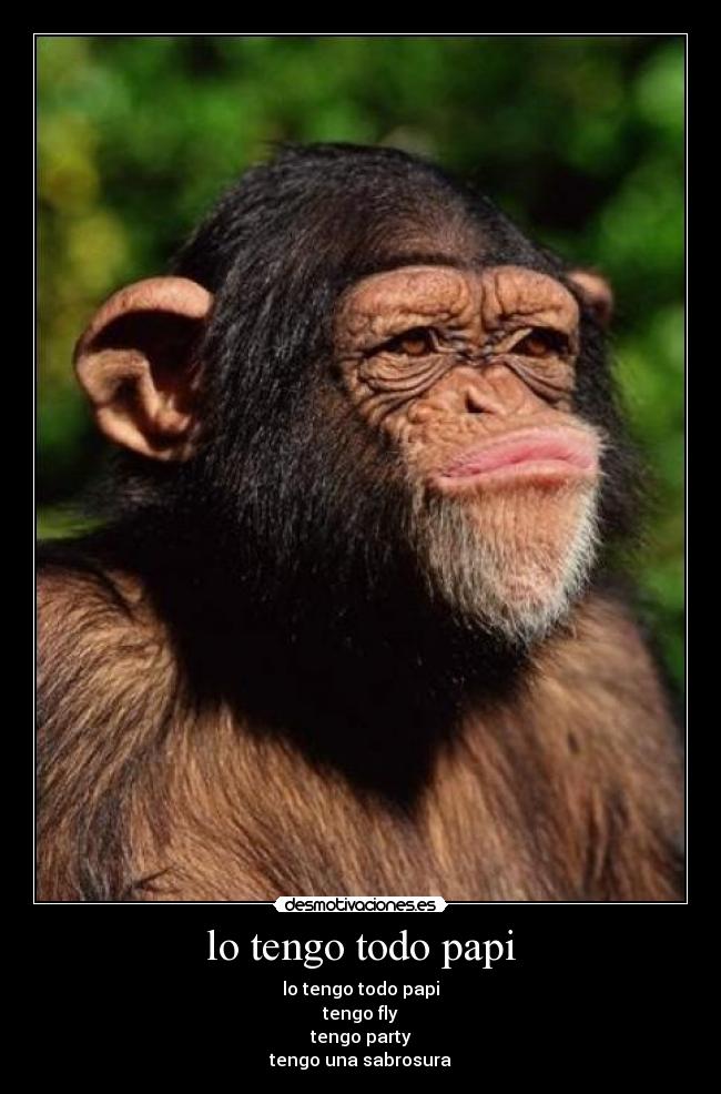 lo tengo todo papi - lo tengo todo papi
tengo fly
tengo party
tengo una sabrosura