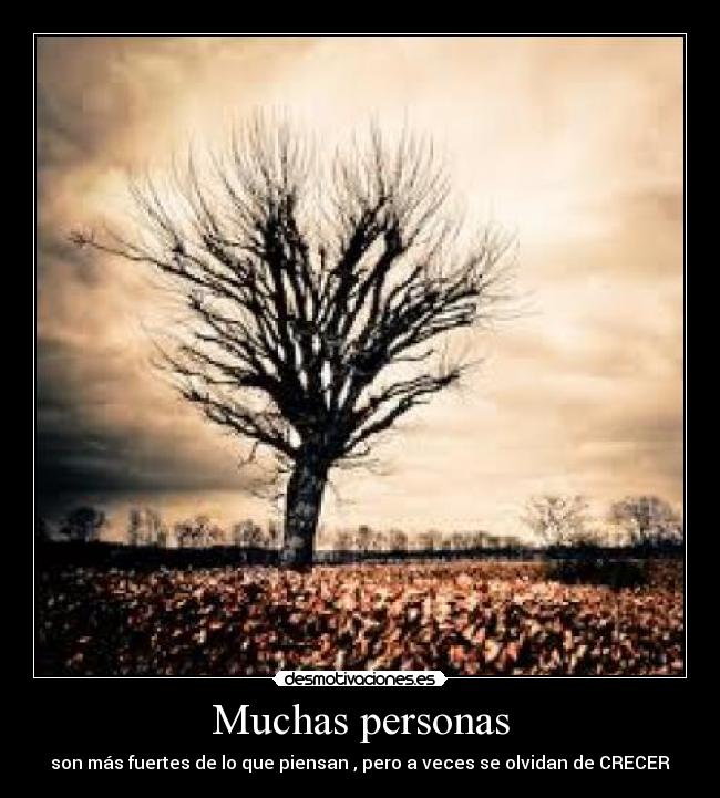 Muchas personas - 