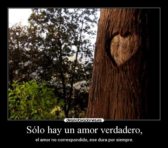 Sólo hay un amor verdadero, - el amor no correspondido, ese dura por siempre.