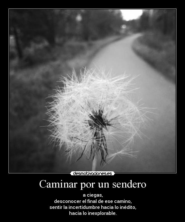 Caminar por un sendero - a ciegas,
desconocer el final de ese camino,
sentir la incertidumbre hacia lo inédito,
hacia lo inexplorable.