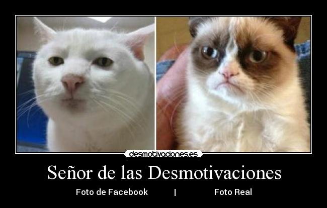 Señor de las Desmotivaciones - Foto de Facebook | Foto Real