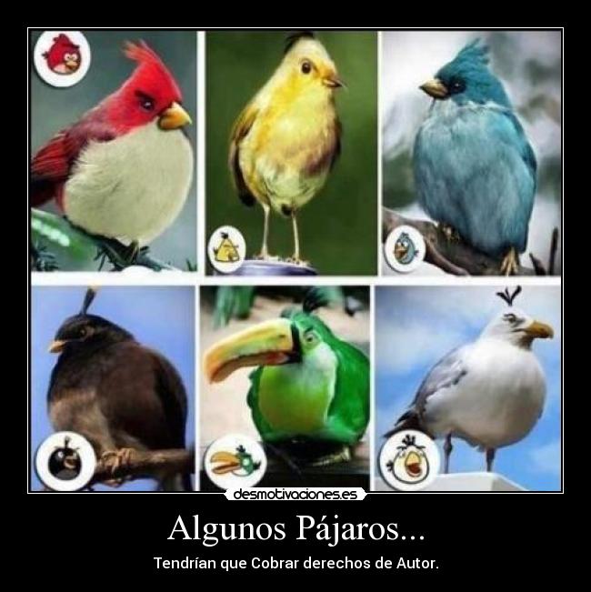 Algunos Pájaros... - 