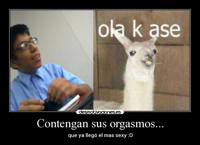 carteles senal desmotivaciones