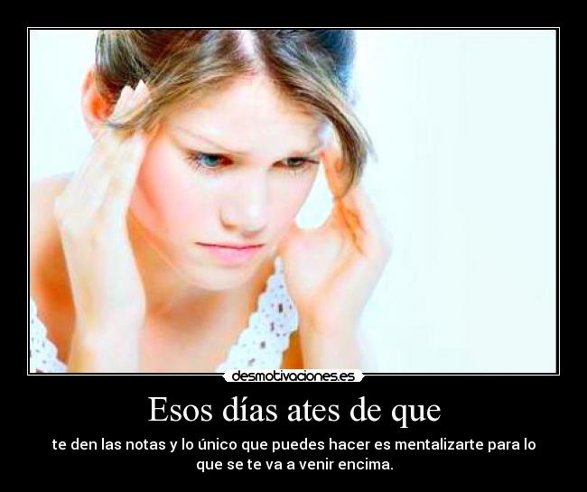 carteles notas malas suspensos mierda mentalizarte desmotivaciones