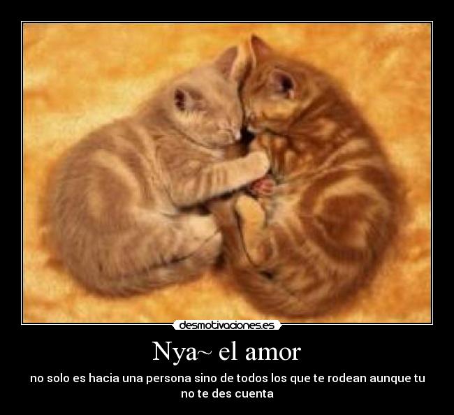 Nya~ el amor - no solo es hacia una persona sino de todos los que te rodean aunque tu
no te des cuenta