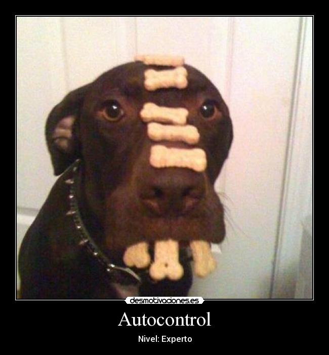 Autocontrol - Nivel: Experto