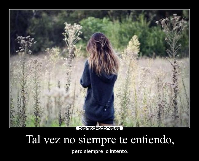 Tal vez no siempre te entiendo, -