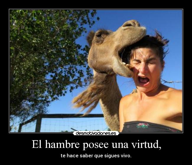 carteles hambre desmotivaciones