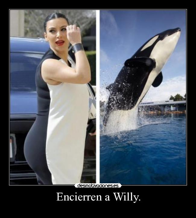 Encierren a Willy. - 