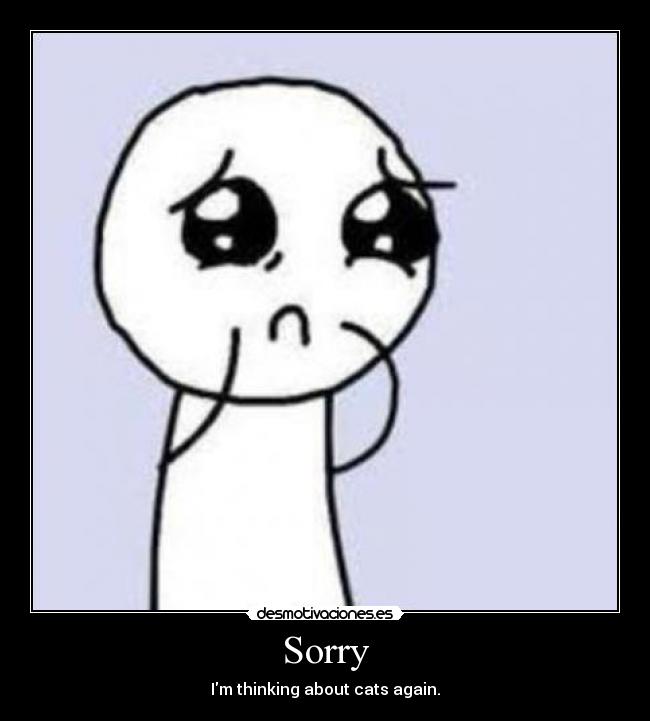 Sorry - Im thinking about cats again.