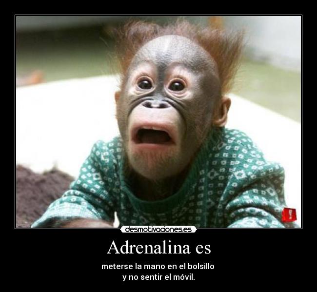 Adrenalina es - meterse la mano en el bolsillo
y no sentir el móvil.