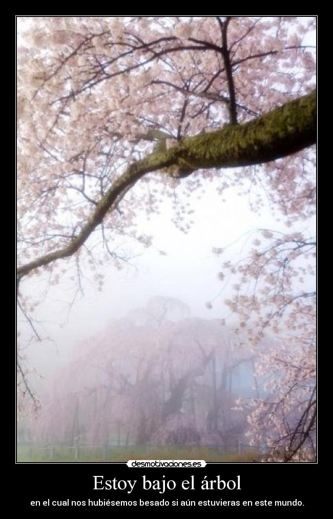 Estoy bajo el árbol -