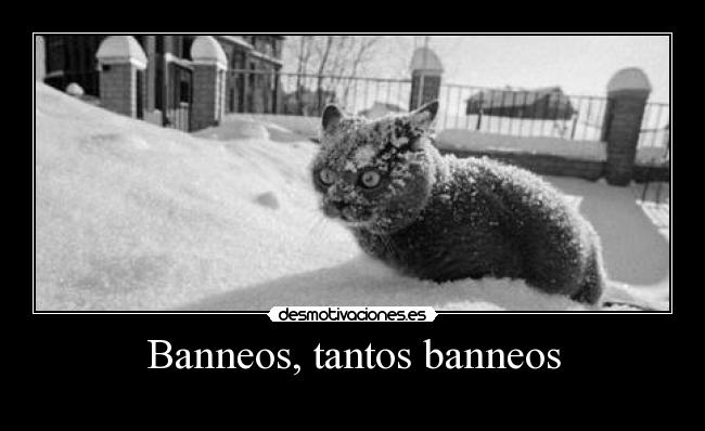 Banneos, tantos banneos - 