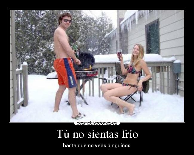 Tú no sientas frío - hasta que no veas pingüinos.